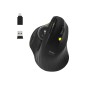 MOUSE ERGO RECHARGEABLE BLTH TRACK BALL MOUSE ERGO RECHARGEABLE BLTH TRACK BALL