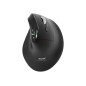 MOUSE ERGONOMIC RCHRG BT RF ERGO AUDITOR