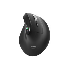 MOUSE ERGONOMIC RCHRG BT RF ERGO AUDITOR