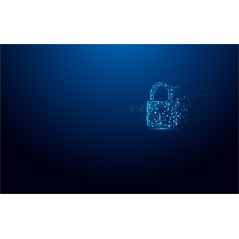 Kingston Technology IronKey 512Go Vault Privacy 50 chiffrée AES-256, FIPS 197