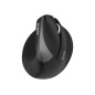 BLUETOOTH WIRELESS ERGONOMIC MOUSE BLUETOOTH WIRELESS ERGONOMIC MOUSE