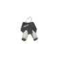 CS/Master key pour CRS21UF