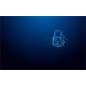 Kingston Technology IronKey 16Go Vault Privacy 50 chiffrée AES-256, FIPS 197