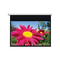DE-1123EGA/123" 16:10 screen