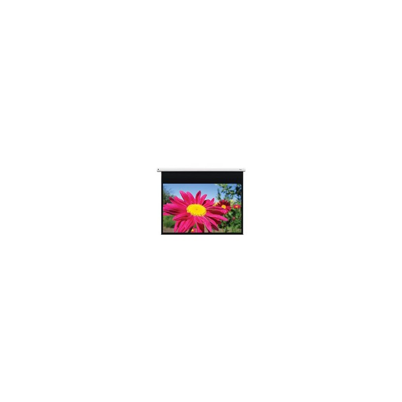DE-1123EGA/123" 16:10 screen DE-1123EGA/123" 16:10 screen
