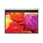 DS-1095PMG+/Screens Pull Down 16:10