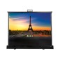 DP-9046MWL/PORTABLE 16:9 electric screen
