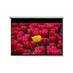 DE-9120EGA/120" 16:9 electric screen