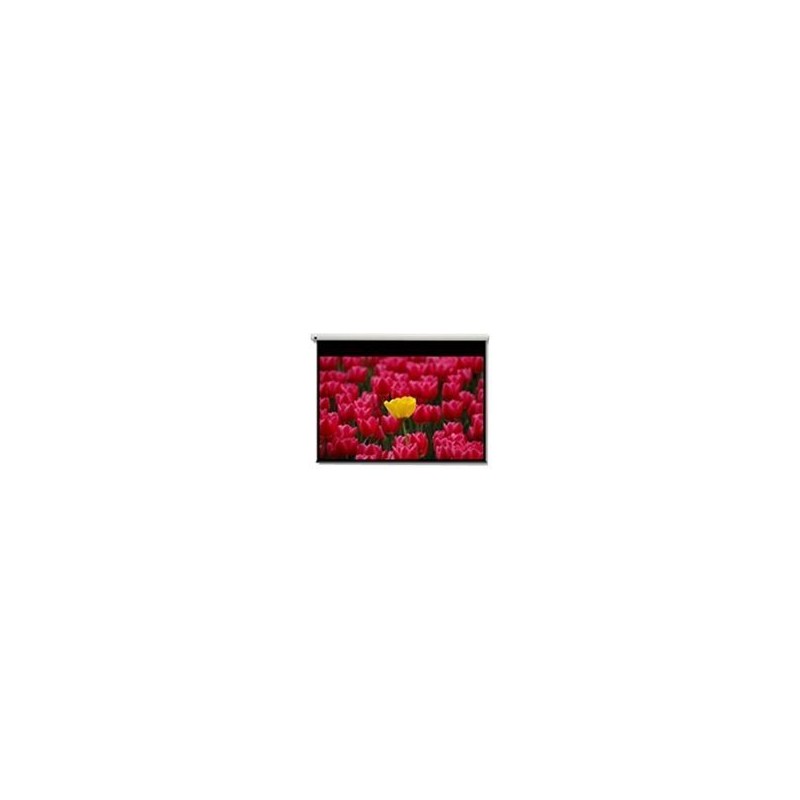 DE-9120EGA/120" 16:9 electric screen
