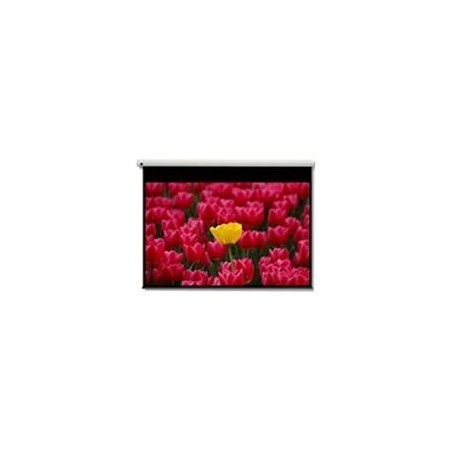 DE-9120EGA/120" 16:9 electric screen