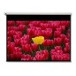 DE-9120EGA/120" 16:9 electric screen