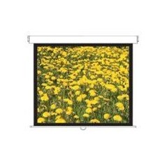 DS-3120PMG+/Screens Pull Down 4:3