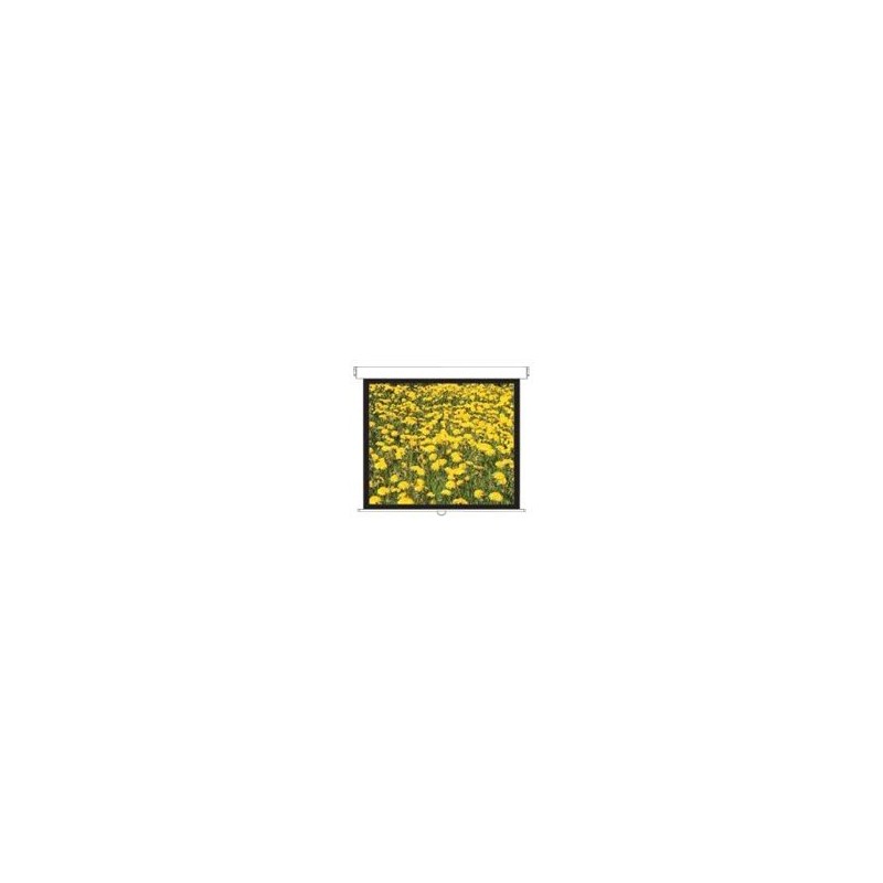 DS-3120PMG+/Screens Pull Down 4:3