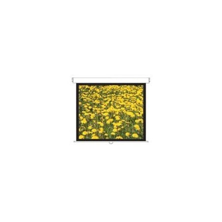 DS-3120PMG+/Screens Pull Down 4:3