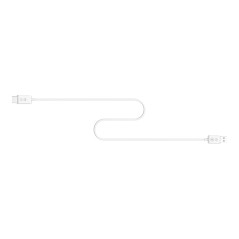 WHD211 EZ Cast Mate HDMI