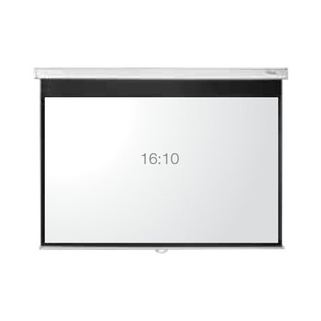 DE-1109EGA/Electr pull down screen 16:10