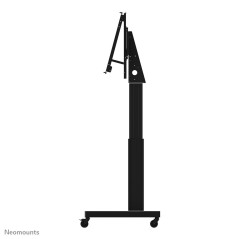 Neomounts AFL55-800BL1 Adaptateur pour MS Hub 85"