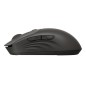 HP 405 Quiet Wireless Mouse HP 405 Quiet Wireless Mouse