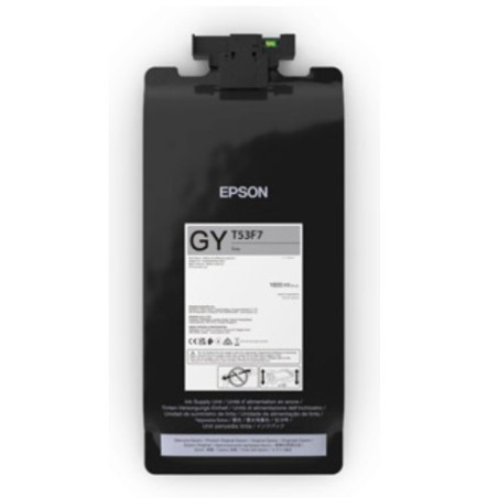 Epson UltraChrome Pro6 cartouche d'encre 1 pièce(s) Original Gris
