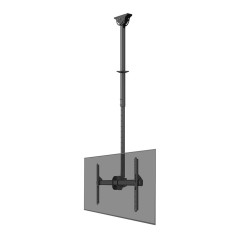 Neomounts CL35-440BL16L Support de plafond pour écran de 37-70" - h106-156 cm