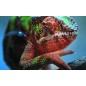 Epson EH-TW7100 Epson EH-TW7100