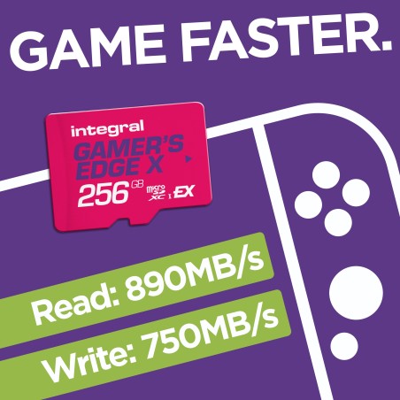 Integral INMSDXE256G890/750GEX mémoire flash 256 Go