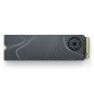 Seagate FireCuda Beskar Ingot 500 Go M.2 PCI Express 4.0 NVMe 3D TLC Seagate FireCuda Beskar Ingot 500 Go M.2 PCI Express 4.0 NVMe 3D TLC