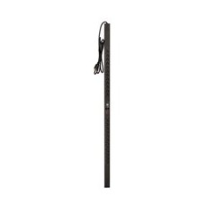 APC Metered Rack 1.92kVA PDU unité de distribution d'énergie Noir